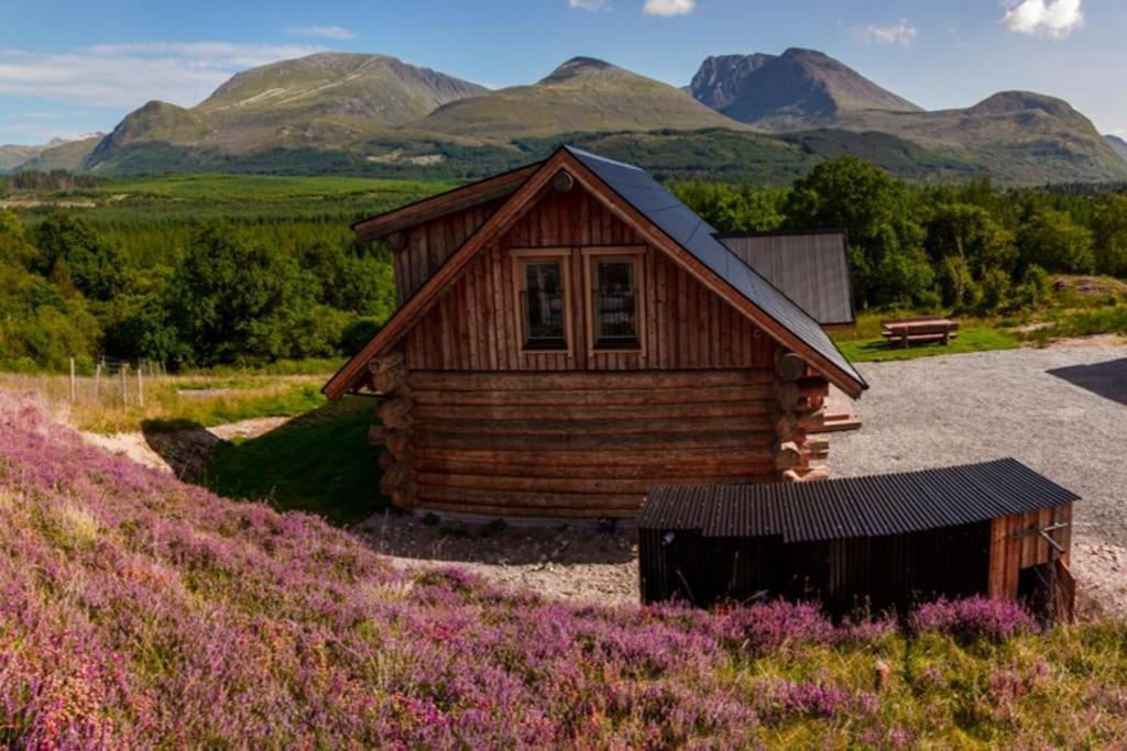 Wild Nurture Eco Luxury Offgrid Log Cabin Форт-Вільям Екстер'єр фото