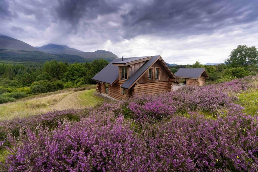 Wild Nurture Eco Luxury Offgrid Log Cabin Форт-Вільям Екстер'єр фото