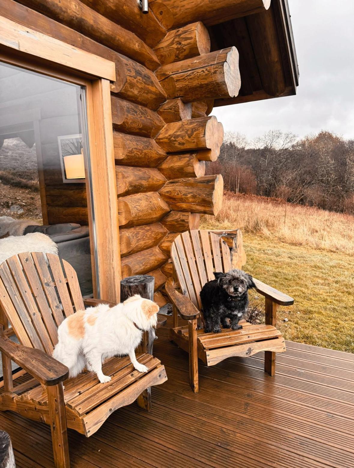 Wild Nurture Eco Luxury Offgrid Log Cabin Форт-Вільям Екстер'єр фото